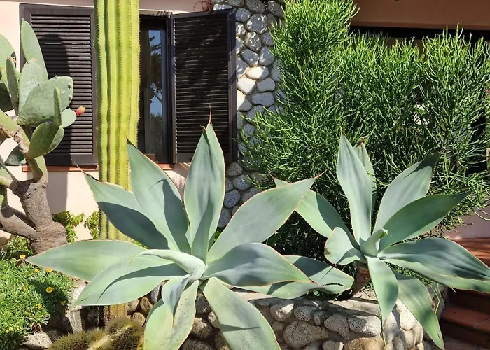 Villaggio Cala Di Volpe Capo Vaticano