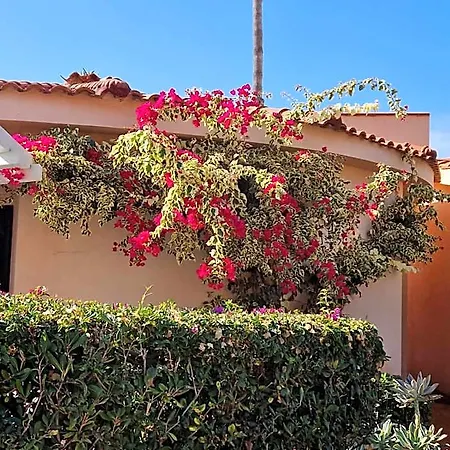 Апарт-отель Villaggio Cala Di Volpe